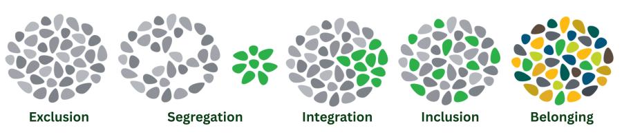 Graphic of five different clusters that illustrate exclusion, segregation, integration, inclusion, and belonging.
