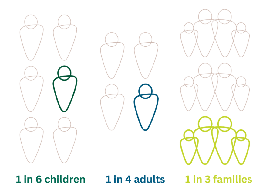 Graphic depicting 1 in 6 children, 1 in 4 adults, and 1 in 3 families experience disability.